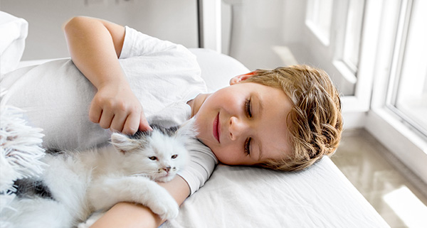 Criança e um gato