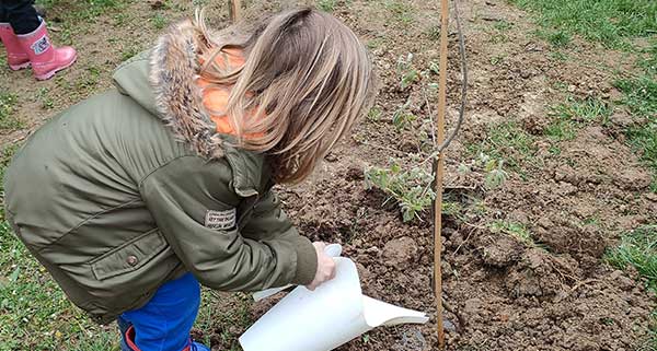 Mulher regando planta