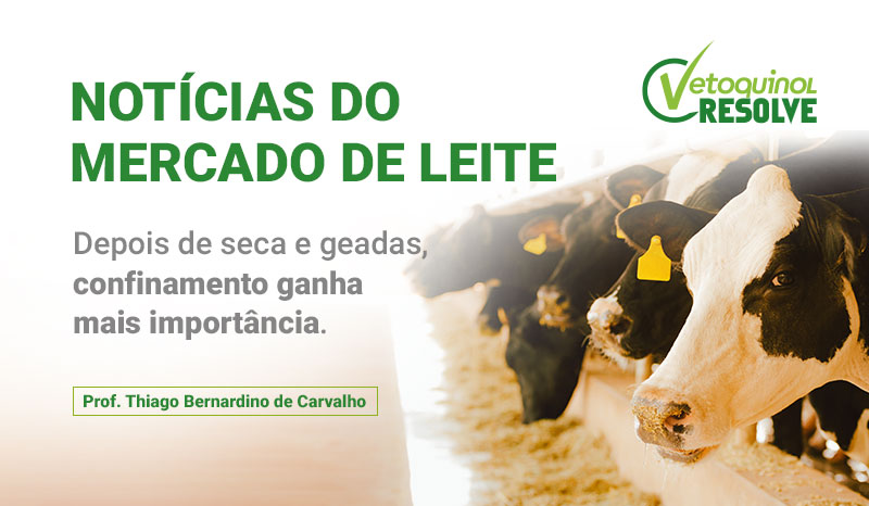 artigo-leite_agosto.jpg