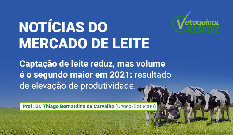 artigo-leite_dezembro.jpg