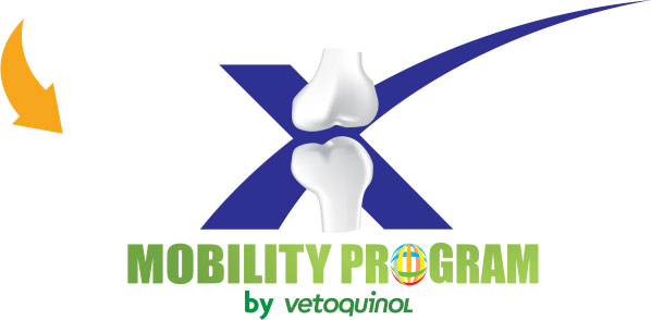 Mobility
