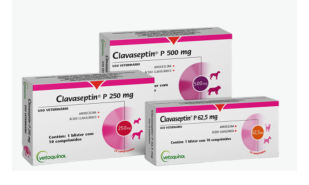 Clavaseptin P - Packshot 3.png Clavaseptin P - Pack Shot 3
